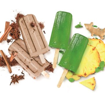 picoles chai e cha verde – Equilibrium